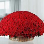 Big Roses Basket