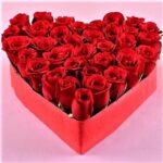 Roses Arrangement
