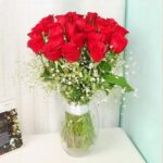 Stunning Red Roses