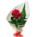 Special Single Rose