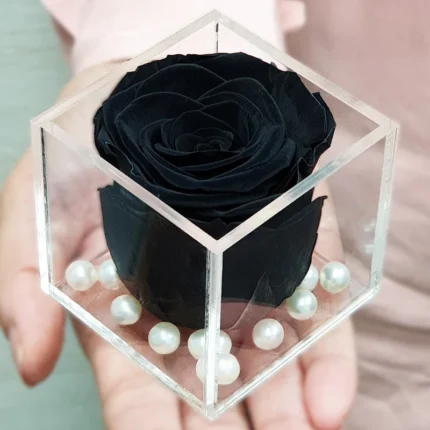 Luxe Black Rose in Acrylic Cube