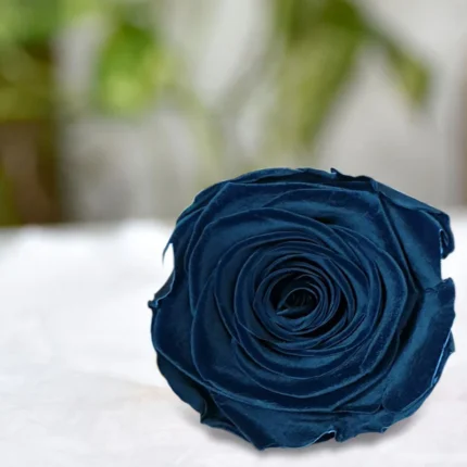 Luxe Black Rose in Acrylic Cube