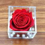 Luxe Red Rose in Acrylic Cube