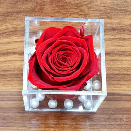 Luxe Red Rose in Acrylic Cube