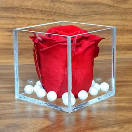 Luxe Red Rose in Acrylic Cube