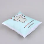 Forever Fun Promise Cushion