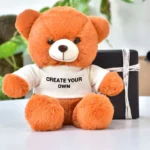 Orange Personalized Teddy with T-Shirt