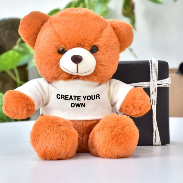 Orange Personalized Teddy with T-Shirt