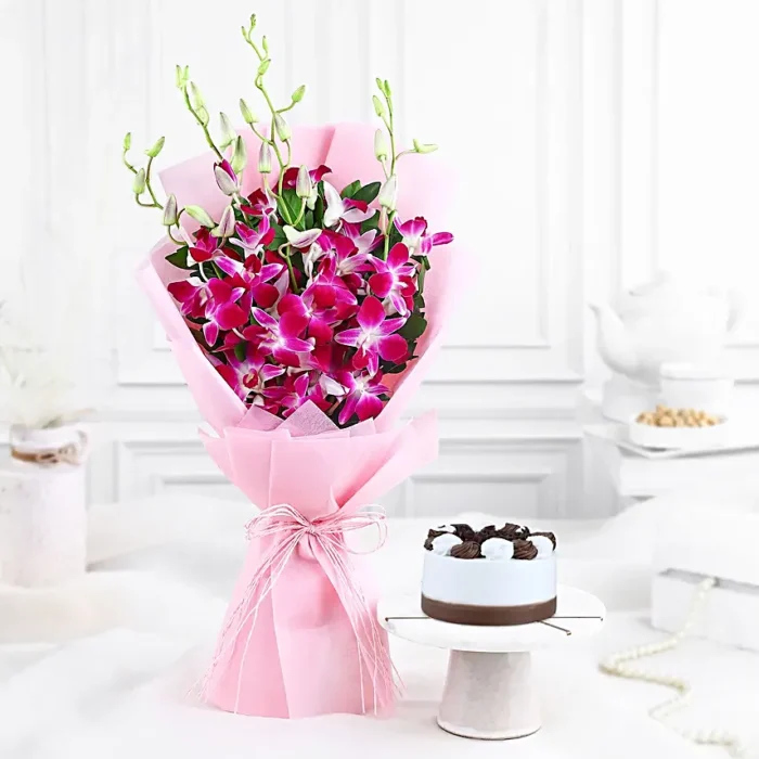 Purple Grace & Forest Delight Combo