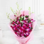 Purple Grace & Forest Delight Combo - Image 3