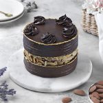 Stellar Cream Chocolate Cake